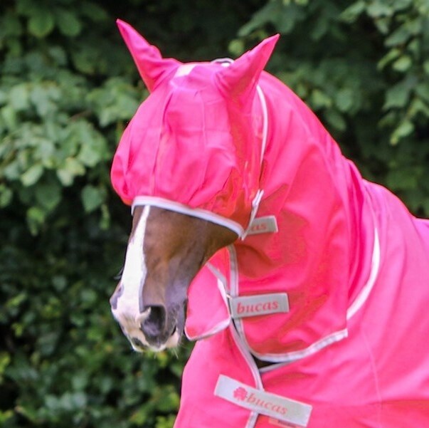 pink horse tack