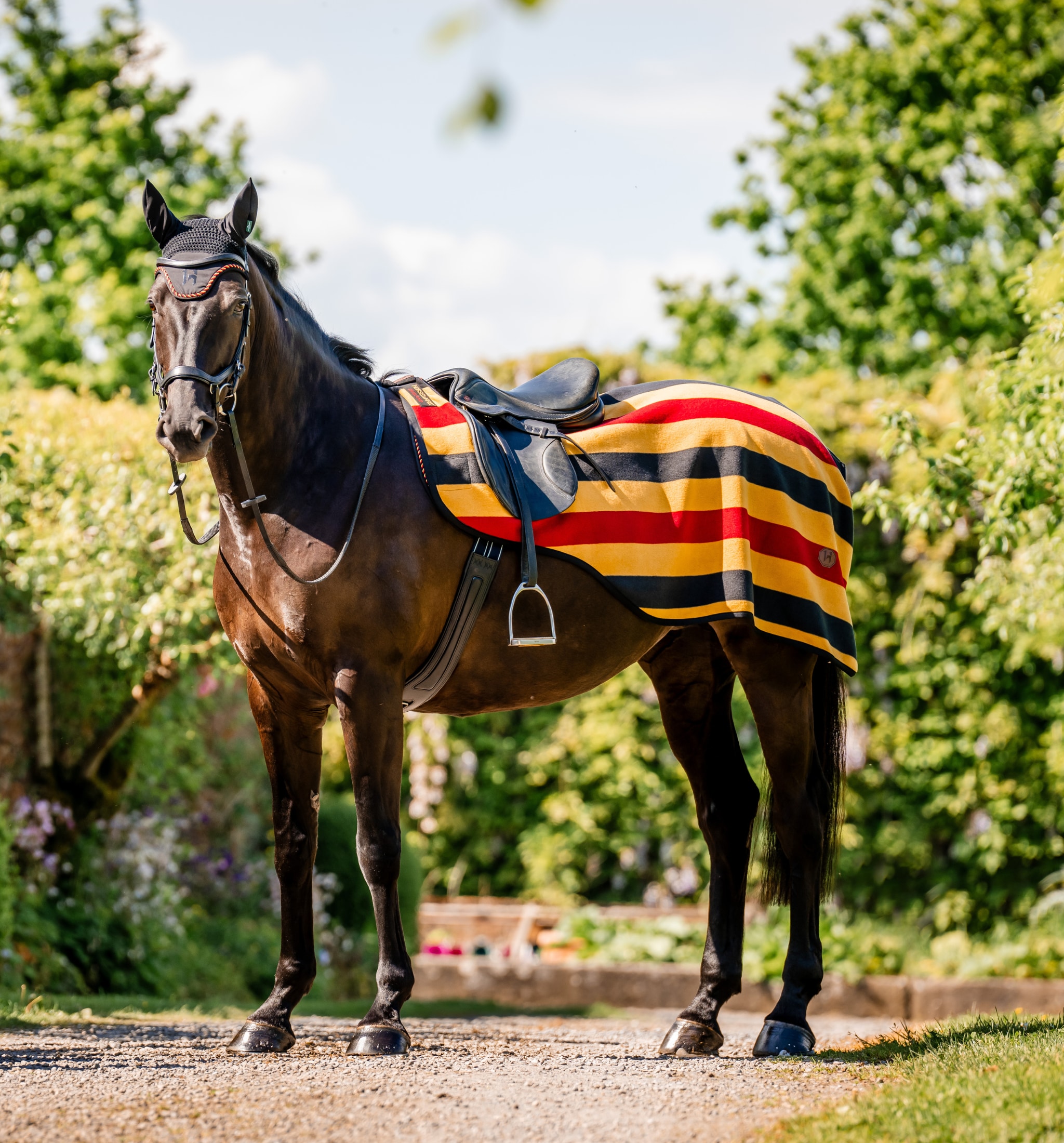 Newmarket Exercise Sheet - Witney Gold