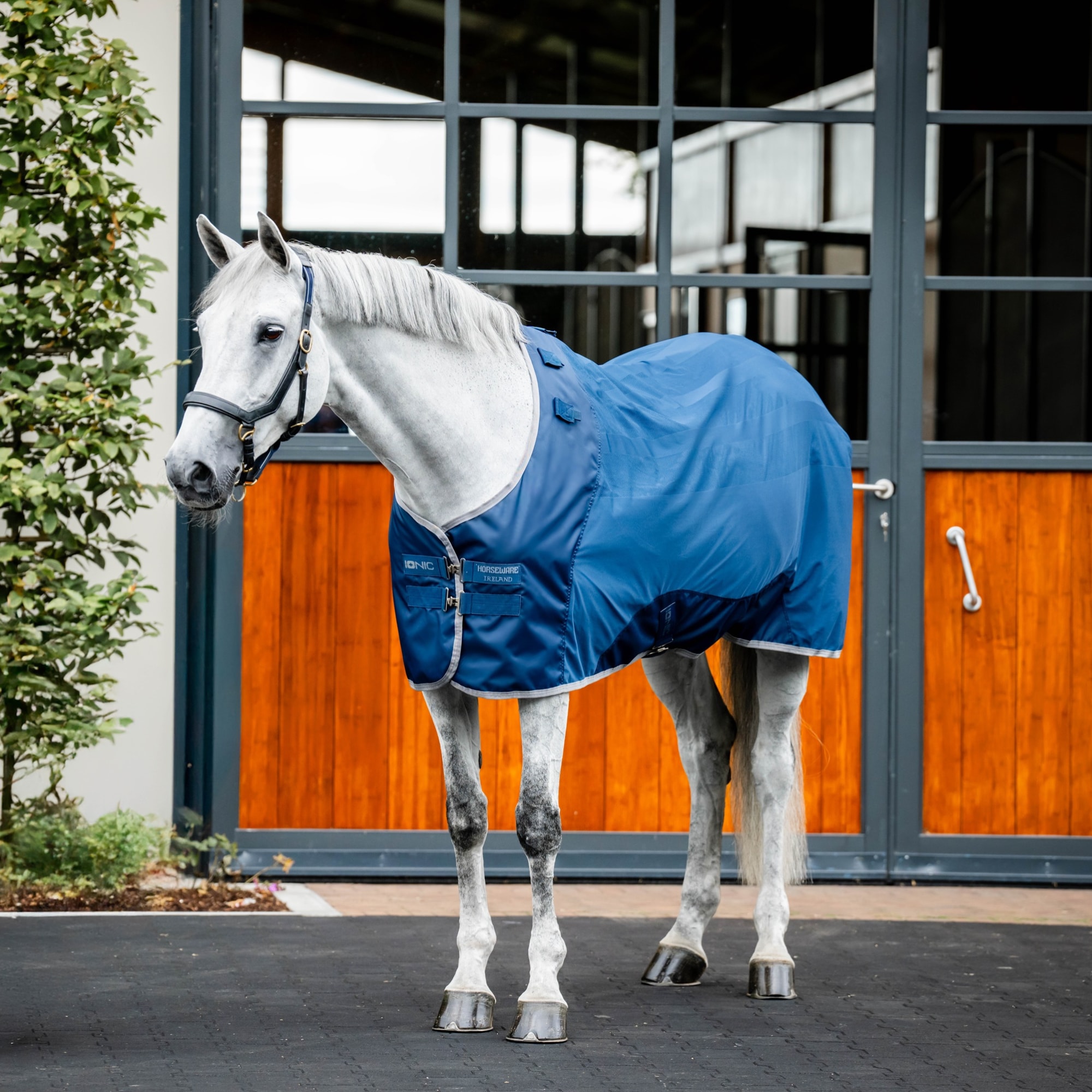 Horseware Ionic Therapy Mesh Cooler - Imperial Blue